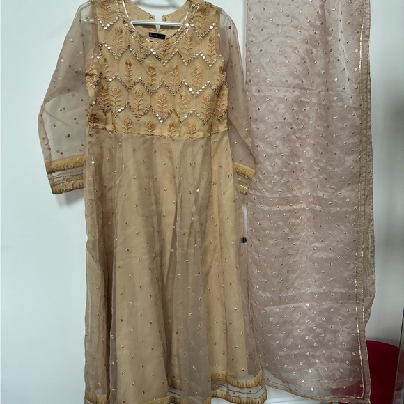 Pakistani Dress - Picture 2 of 2